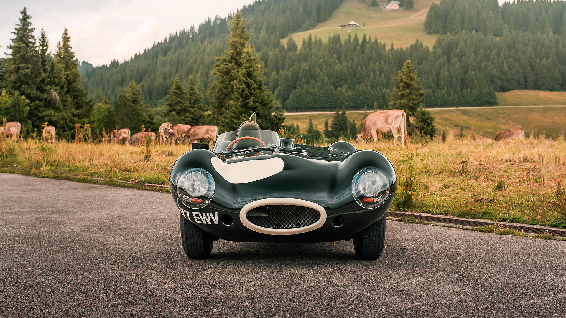 1956 Jaguar D-Type 2
