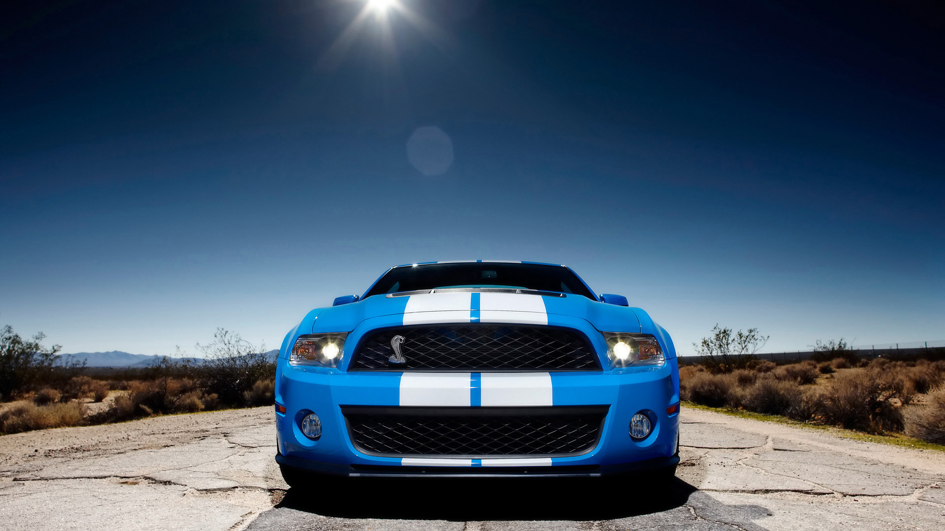 2010 Ford Shelby Mustang GT500